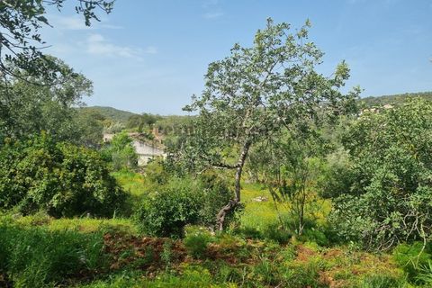 Helårsgrund i Loule, Faro, Loule - € 340.000 | Ref: TER7424 - foto 15