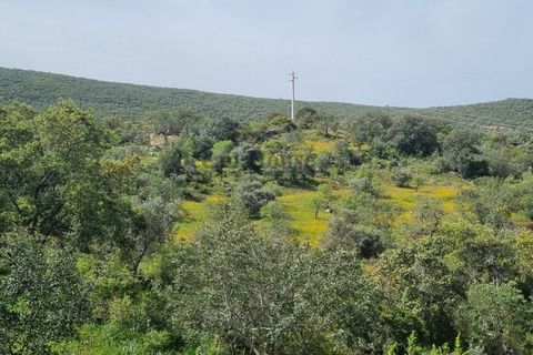 Helårsgrund i Loule, Faro, Loule - € 340.000 | Ref: TER7424 - foto 17