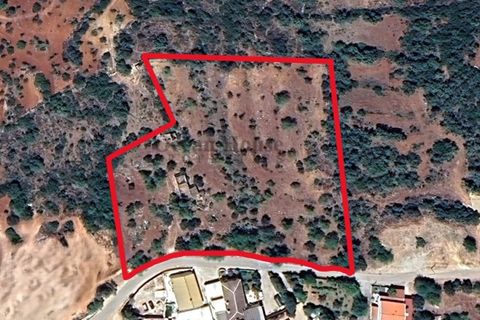 Helårsgrund i Loule, Faro, Loule - € 340.000 | Ref: TER7424 - foto 20