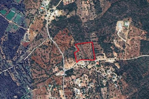 Helårsgrund i Loule, Faro, Loule - € 340.000 | Ref: TER7424 - foto 21