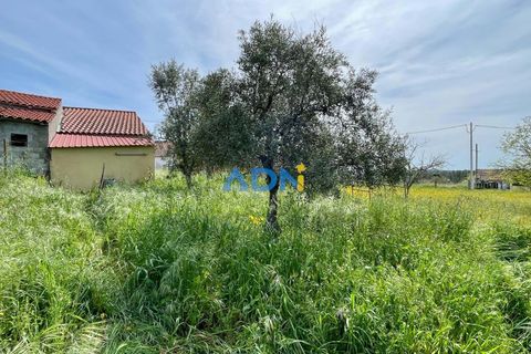 Farm hus i Castelo Branco, Castelo Branco, Castelo Branco - € 25.000 | Ref: 125025 - foto 7