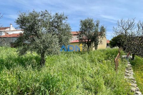 Farm hus i Castelo Branco, Castelo Branco, Castelo Branco - € 25.000 | Ref: 125025 - foto 10