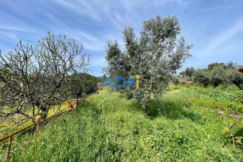 Farm hus i Castelo Branco, Castelo Branco, Castelo Branco - € 25.000 | Ref: 125025 - foto 11