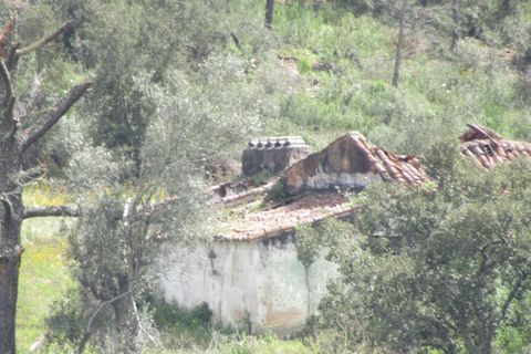 Granja a Abrantes, Santarem, Abrantes - € 340.000 | Ref: P24-220 - foto 2