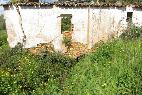 Granja a Abrantes, Santarem, Abrantes - € 340.000 | Ref: P24-220 - foto 3