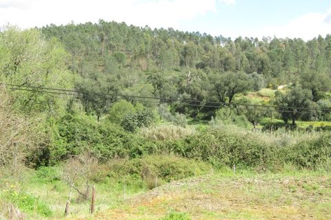 Granja a Abrantes, Santarem, Abrantes - € 340.000 | Ref: P24-220 - foto 4