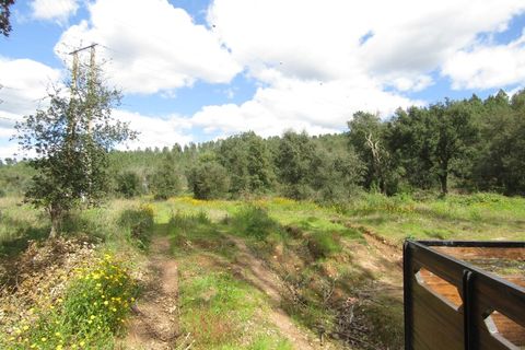 Granja a Abrantes, Santarem, Abrantes - € 340.000 | Ref: P24-220 - foto 5