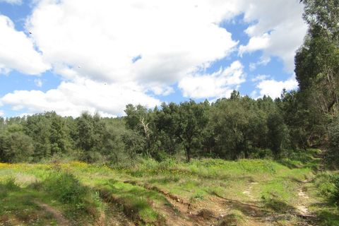Granja a Abrantes, Santarem, Abrantes - € 340.000 | Ref: P24-220 - foto 6