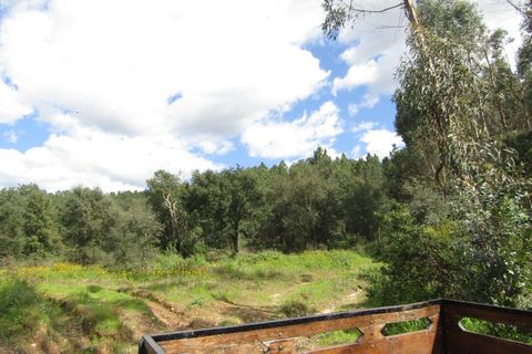 Granja a Abrantes, Santarem, Abrantes - € 340.000 | Ref: P24-220 - foto 7