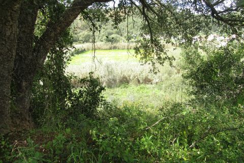 Granja a Abrantes, Santarem, Abrantes - € 340.000 | Ref: P24-220 - foto 8