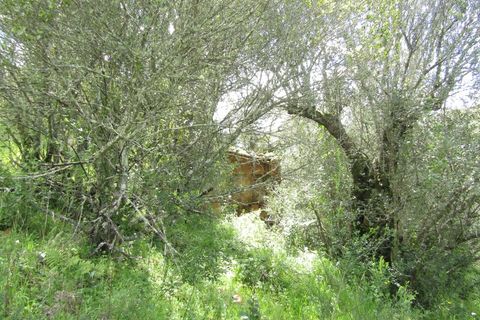 Granja a Abrantes, Santarem, Abrantes - € 340.000 | Ref: P24-220 - foto 9