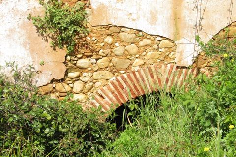 Granja a Abrantes, Santarem, Abrantes - € 340.000 | Ref: P24-220 - foto 10