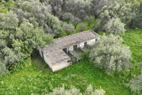 Villa i Melilli, Siracusa, Melilli - € 298.000 | Ref: MA 133 - foto 17
