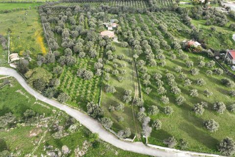 Villa i Melilli, Siracusa, Melilli - € 298.000 | Ref: MA 133 - foto 20