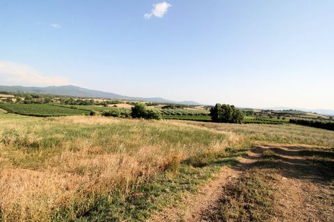 Landejendom i Roccastrada, Grosseto, Roccastrada - € 950.000 | Ref: 1619 - foto 3