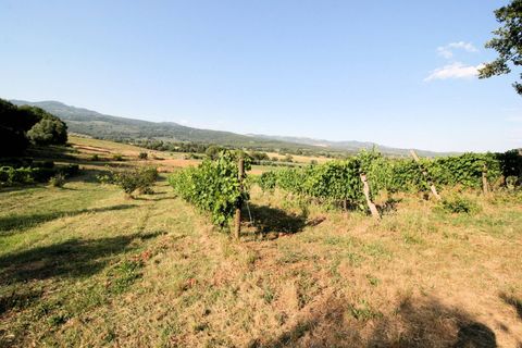 Landejendom i Roccastrada, Grosseto, Roccastrada - € 950.000 | Ref: 1619 - foto 4