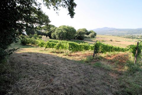 Landejendom i Roccastrada, Grosseto, Roccastrada - € 950.000 | Ref: 1619 - foto 6