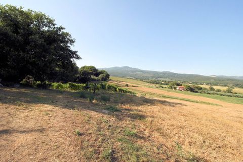 Landejendom i Roccastrada, Grosseto, Roccastrada - € 950.000 | Ref: 1619 - foto 17