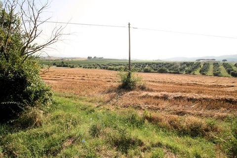Landejendom i Roccastrada, Grosseto, Roccastrada - € 950.000 | Ref: 1619 - foto 19