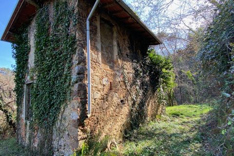Villa i Camaiore, Lucca, Camaiore - € 215.000 | Ref: 2705 - foto 4
