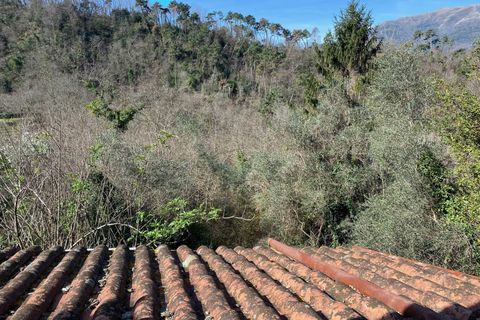 Villa i Camaiore, Lucca, Camaiore - € 215.000 | Ref: 2705 - foto 19