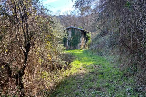 Villa i Camaiore, Lucca, Camaiore - € 215.000 | Ref: 2705 - foto 22