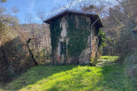 Villa i Camaiore, Lucca, Camaiore - € 215.000 | Ref: 2705 - foto 23