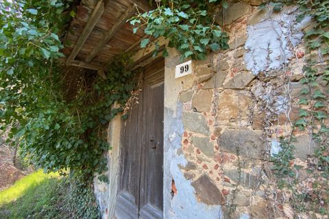 Villa i Camaiore, Lucca, Camaiore - € 215.000 | Ref: 2705 - foto 24