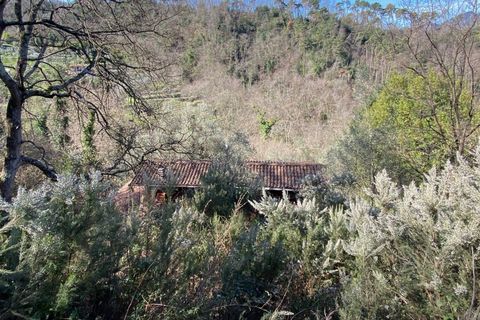 Villa i Camaiore, Lucca, Camaiore - € 215.000 | Ref: 2705 - foto 26