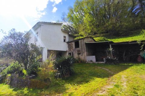 Villa i Camaiore, Lucca, Camaiore - € 235.000 | Ref: 2807 - foto 2