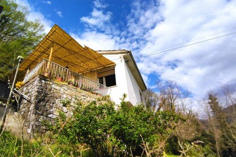 Villa i Camaiore, Lucca, Camaiore - € 235.000 | Ref: 2807 - foto 6