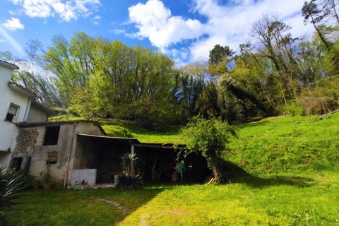 Villa i Camaiore, Lucca, Camaiore - € 235.000 | Ref: 2807 - foto 10