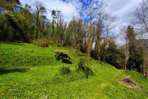 Villa i Camaiore, Lucca, Camaiore - € 235.000 | Ref: 2807 - foto 11