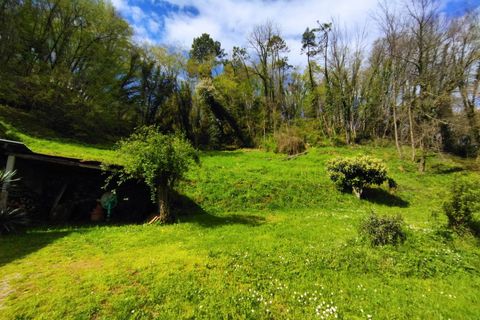 Villa i Camaiore, Lucca, Camaiore - € 235.000 | Ref: 2807 - foto 12