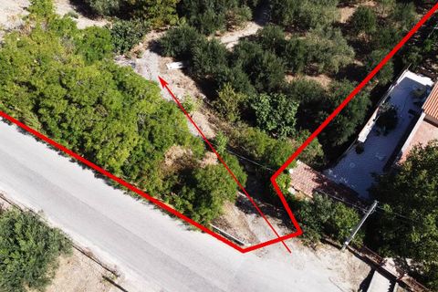 Terra a Altofonte, Palermo, Altofonte - € 15.000 | Ref: 3724 - foto 2