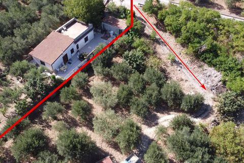 Terra a Altofonte, Palermo, Altofonte - € 15.000 | Ref: 3724 - foto 5