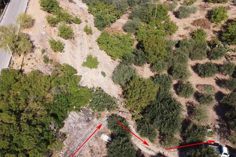 Terra a Altofonte, Palermo, Altofonte - € 15.000 | Ref: 3724 - foto 6