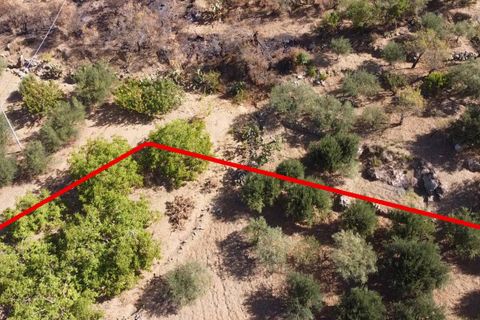 Terra a Altofonte, Palermo, Altofonte - € 15.000 | Ref: 3724 - foto 9
