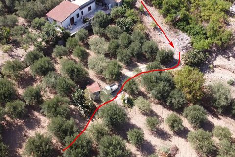Terra a Altofonte, Palermo, Altofonte - € 15.000 | Ref: 3724 - foto 10