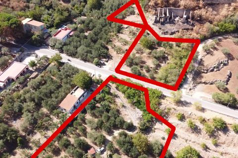 Terra a Altofonte, Palermo, Altofonte - € 15.000 | Ref: 3724 - foto 15