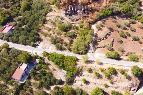 Terra a Altofonte, Palermo, Altofonte - € 15.000 | Ref: 3724 - foto 16