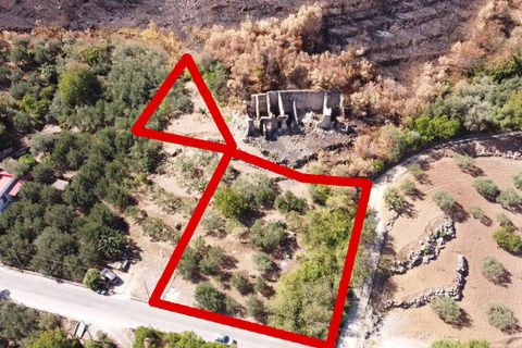 Terra a Altofonte, Palermo, Altofonte - € 15.000 | Ref: 3724 - foto 17