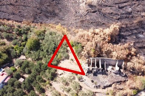 Terra a Altofonte, Palermo, Altofonte - € 15.000 | Ref: 3724 - foto 18