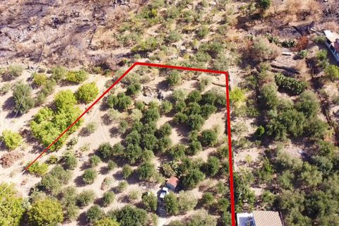 Terra a Altofonte, Palermo, Altofonte - € 15.000 | Ref: 3724 - foto 20