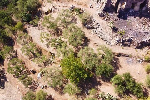 Terra a Altofonte, Palermo, Altofonte - € 15.000 | Ref: 3724 - foto 22