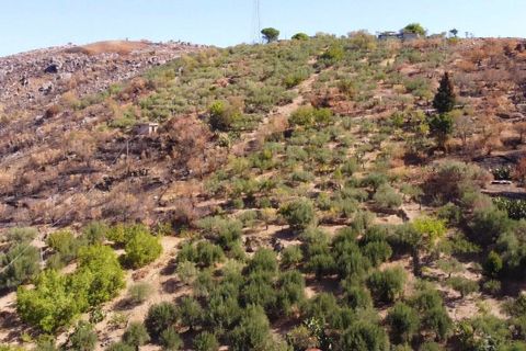 Terra a Altofonte, Palermo, Altofonte - € 15.000 | Ref: 3724 - foto 23