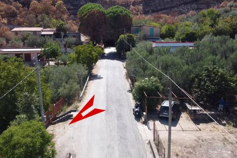Terra a Altofonte, Palermo, Altofonte - € 15.000 | Ref: 3724 - foto 25
