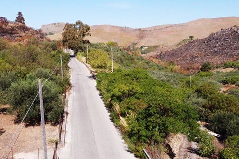 Terra a Altofonte, Palermo, Altofonte - € 15.000 | Ref: 3724 - foto 26