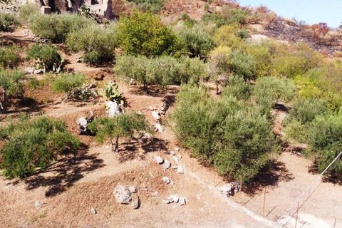 Terra a Altofonte, Palermo, Altofonte - € 15.000 | Ref: 3724 - foto 27