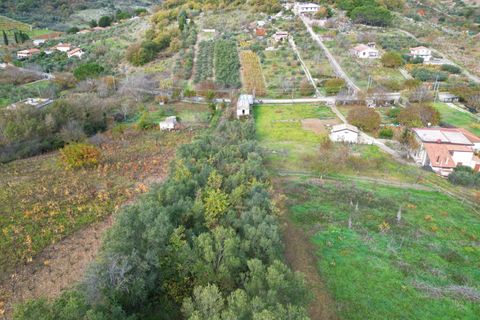 Terra a Altofonte, Palermo, Altofonte - € 10.000 | Ref: 3750 - foto 3